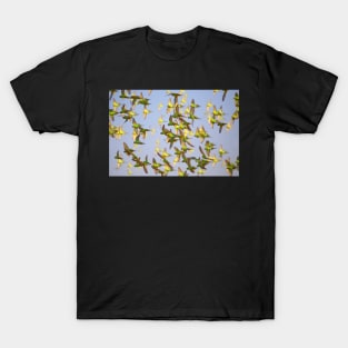 Budgerigars T-Shirt